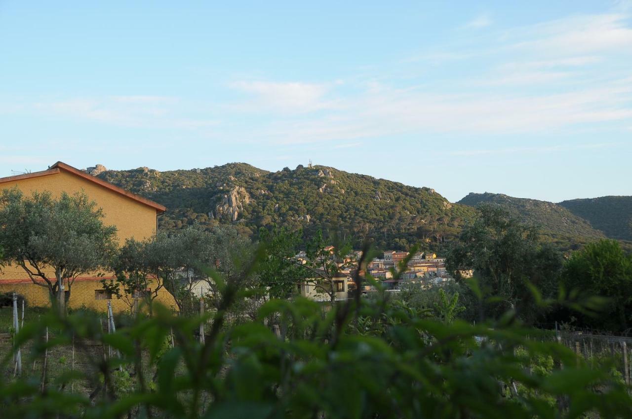 Il Ciliegio Apartment Monti Exteriér fotografie
