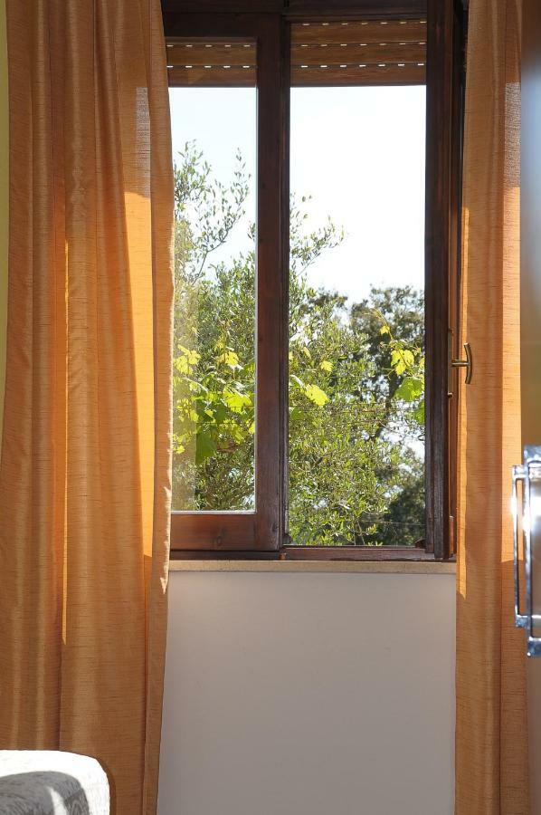 Il Ciliegio Apartment Monti Exteriér fotografie